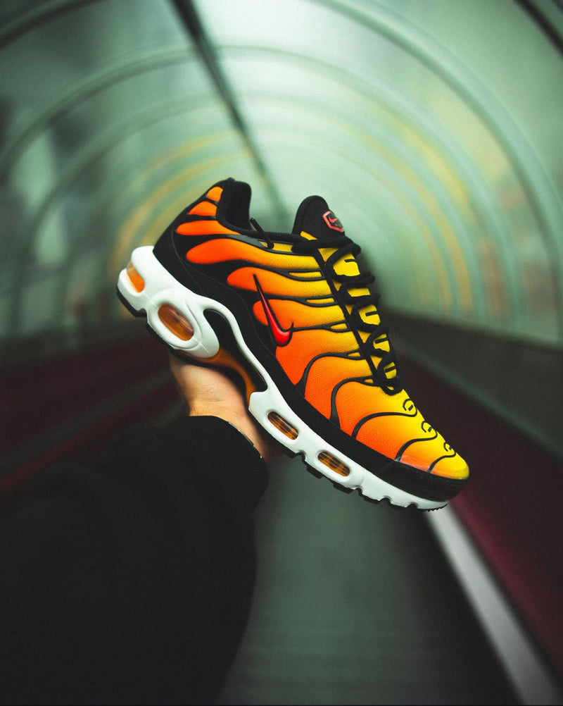 NIKE AIR MAX PLUS ‘TIGER’