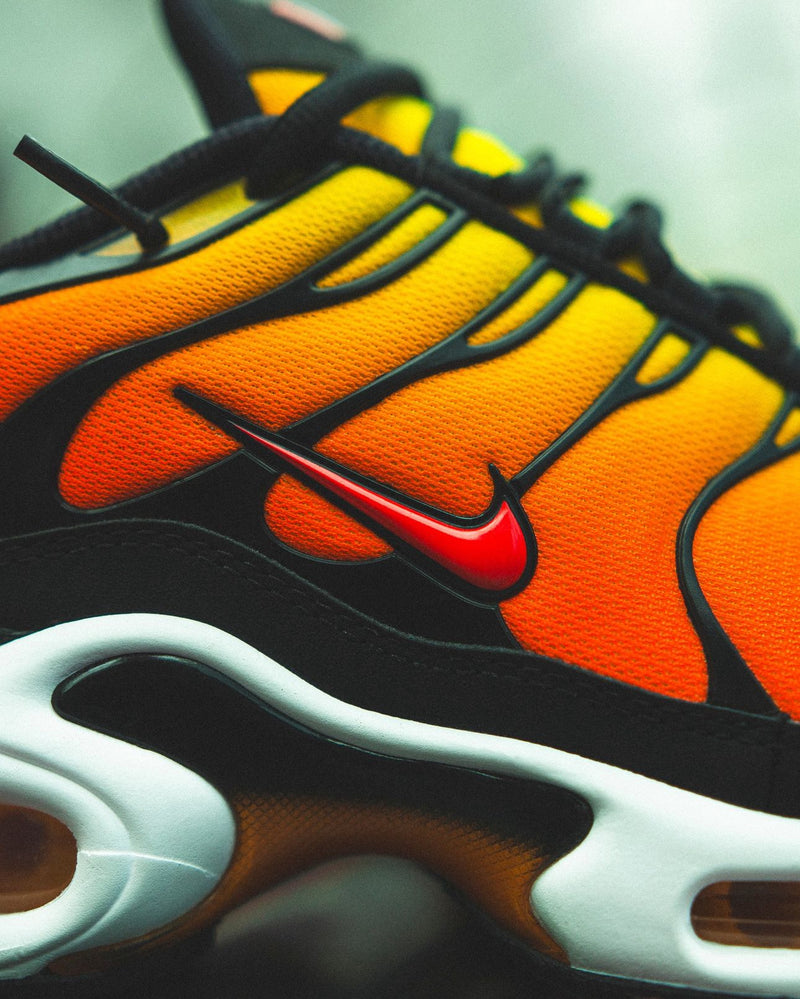 NIKE AIR MAX PLUS ‘TIGER’